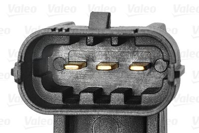 Nokkenassensor