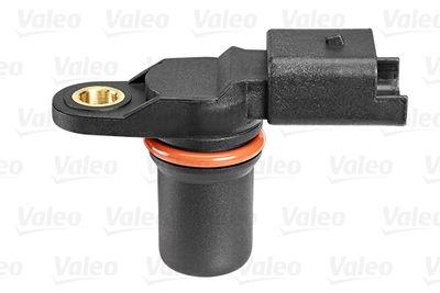 Nokkenassensor