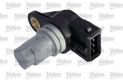 Nokkenassensor