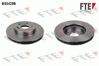 Remschijf COATED RANGE FTE