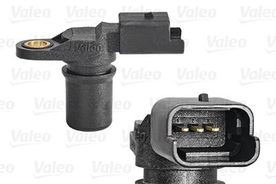 Nokkenassensor