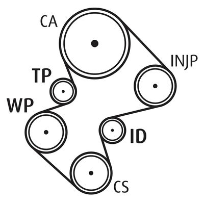Waterpomp + distributieriem set